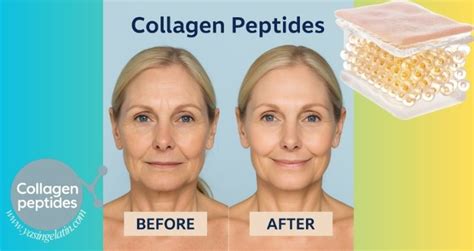 Grass Fed Collagen Peptides Powder Sourcing Guide Purity Specifications Certifications Manufacturing