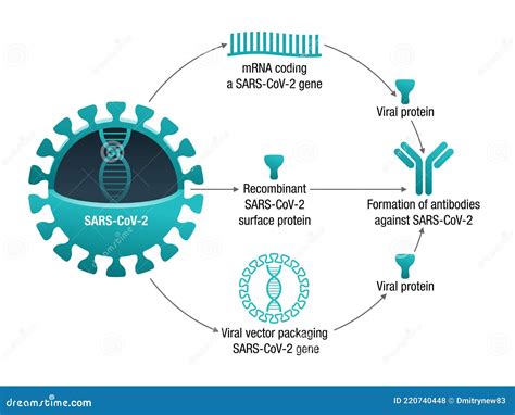 Integrative Peptides Sourcing: Purity, Specs & Certification Guide