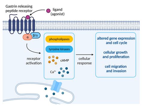 What Do Peptides Do for Skin: Purity, Specifications & Manufacturing Guide for Formulators