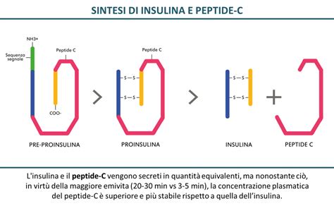 GHK Copper Peptide Purity Specs Manufacturing Guide