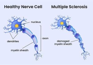 Collagen Peptides Reviews: Purity, Specifications, Certifications & Sourcing Guide for Manufacturers