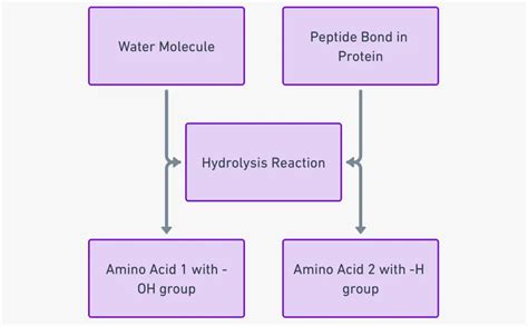 NMN Peptide Purity and Specification Guide for B2B Sourcing and Manufacturing Certification