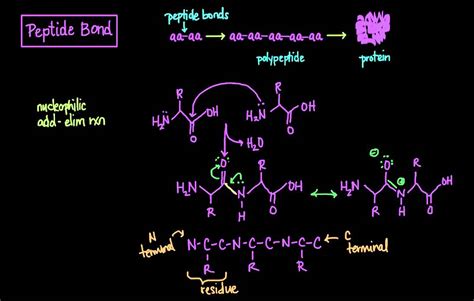 ARA 290 Peptides: Purity Specifications, Manufacturing Standards & Sourcing Guide for Labs