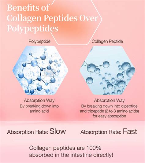Cyclic Citrullinated Peptide Antibody Purity Specifications Manufacturing Sourcing Guide for B2B Labs