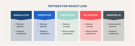 Peptide Legality Guide for Sourcing Pure Certified Bulk