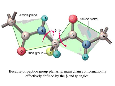 Brain Natriuretic Peptide Normal Range Specifications for Lab Sourcing and Purity Certification