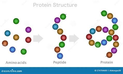 Verified Peptides: Purity, Certification & Bulk Sourcing Guide