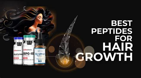Peptide Supplements Sourcing Guide Purity Specs Certifications