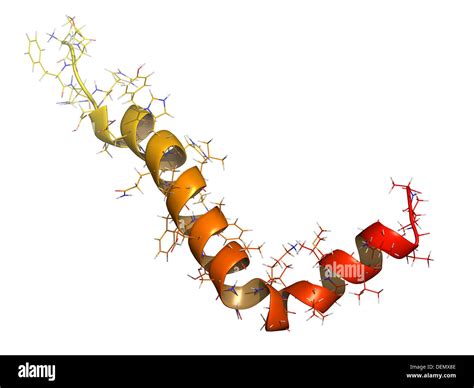 The Complete Guide to Peptide Reconstitution Purity, Specifications, and Manufacturing Standards